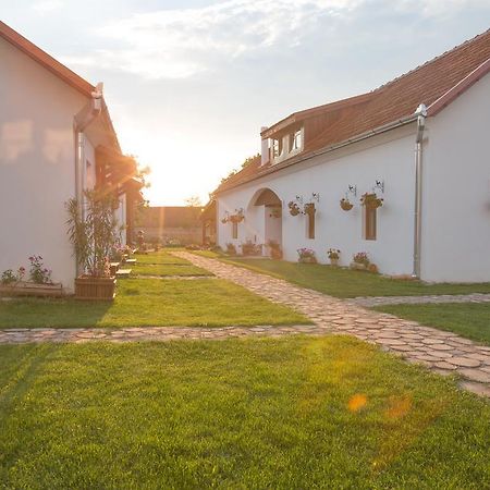 Pensiunea Casa Canda Salasu de Sus Exterior foto