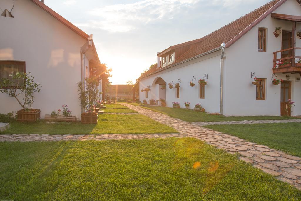 Pensiunea Casa Canda Salasu de Sus Exterior foto
